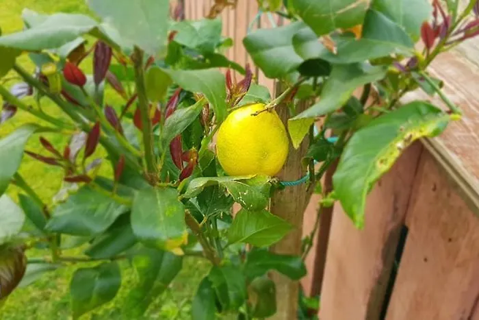 A Toca בית נופש נורדסטה