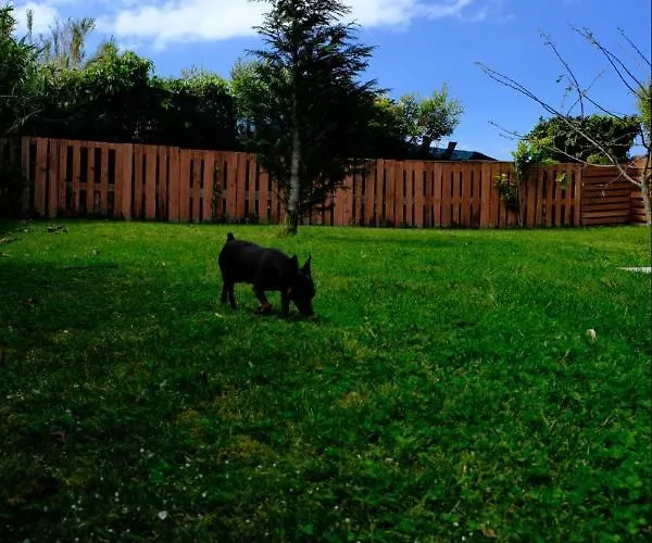 Casa de Férias A Toca *